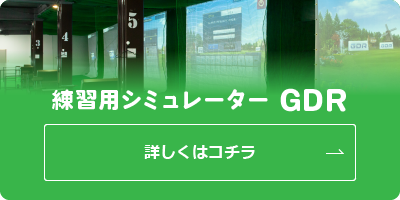 練習用シミュレーター GDR 詳しくはコチラ